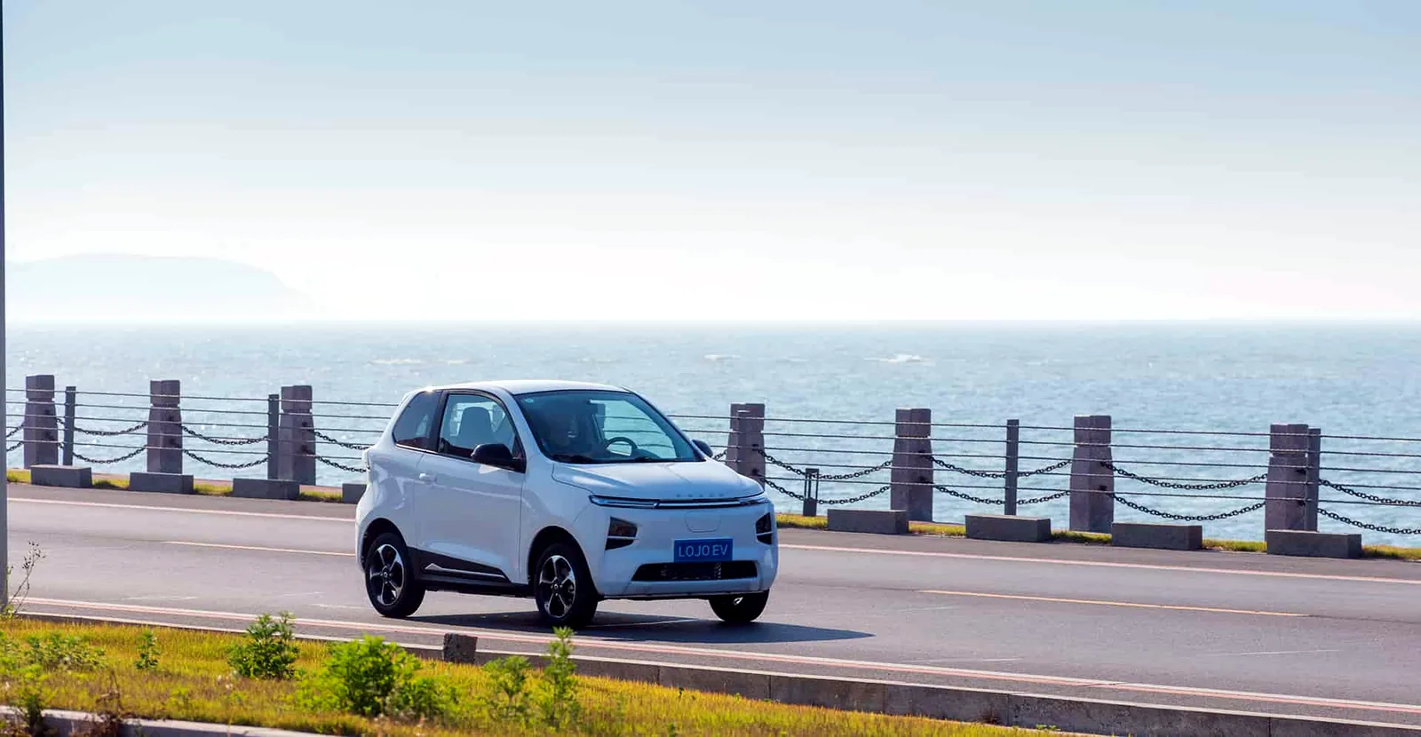 Partner with FASSINA, a leading automotive dealership group in Italy